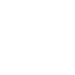 פלומבה - סגרי ביטחון RFID icon white